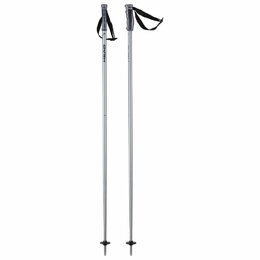 HEAD lyžařské hůlky MULTI BRUSHED ALUMINUM BLACK 2023/2024