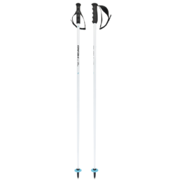 HEAD hůlky WORLDCUP SL