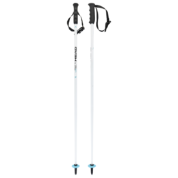 HEAD hůlky WORLDCUP SL junior