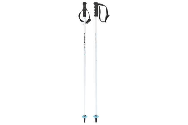 HEAD hůlky WORLDCUP SL junior HEAD hůlky WORLDCUP SL junior